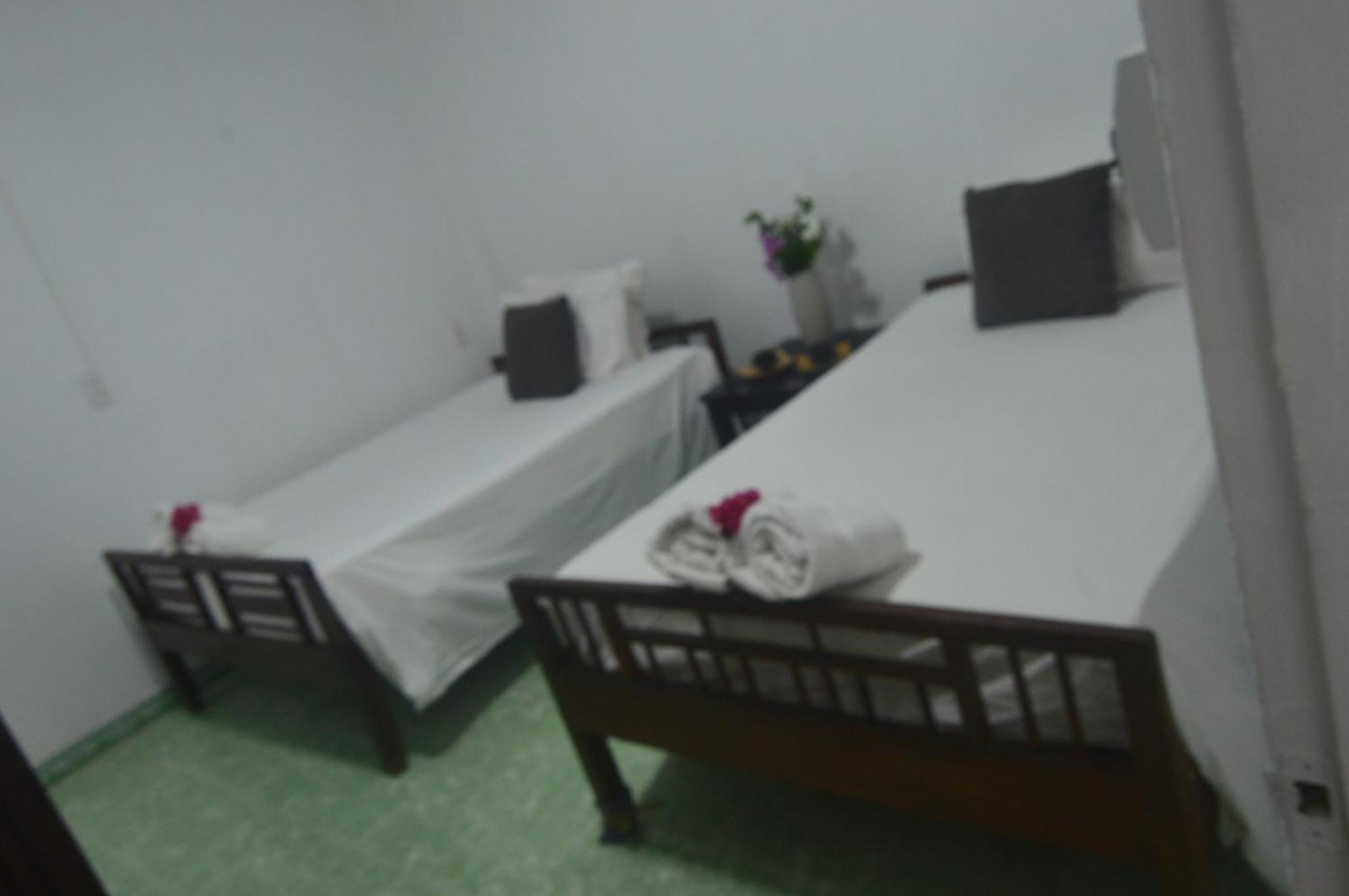 Hoi An Viet House Homestay Extérieur photo